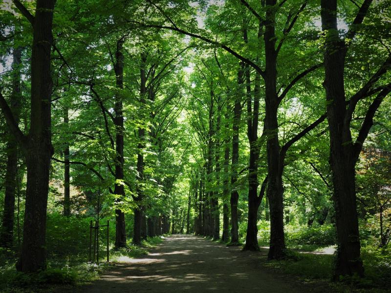 park