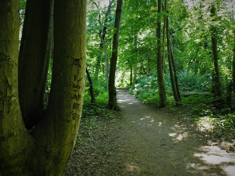 park