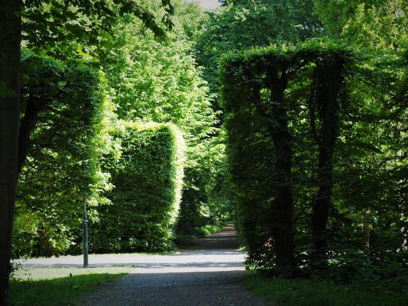 park